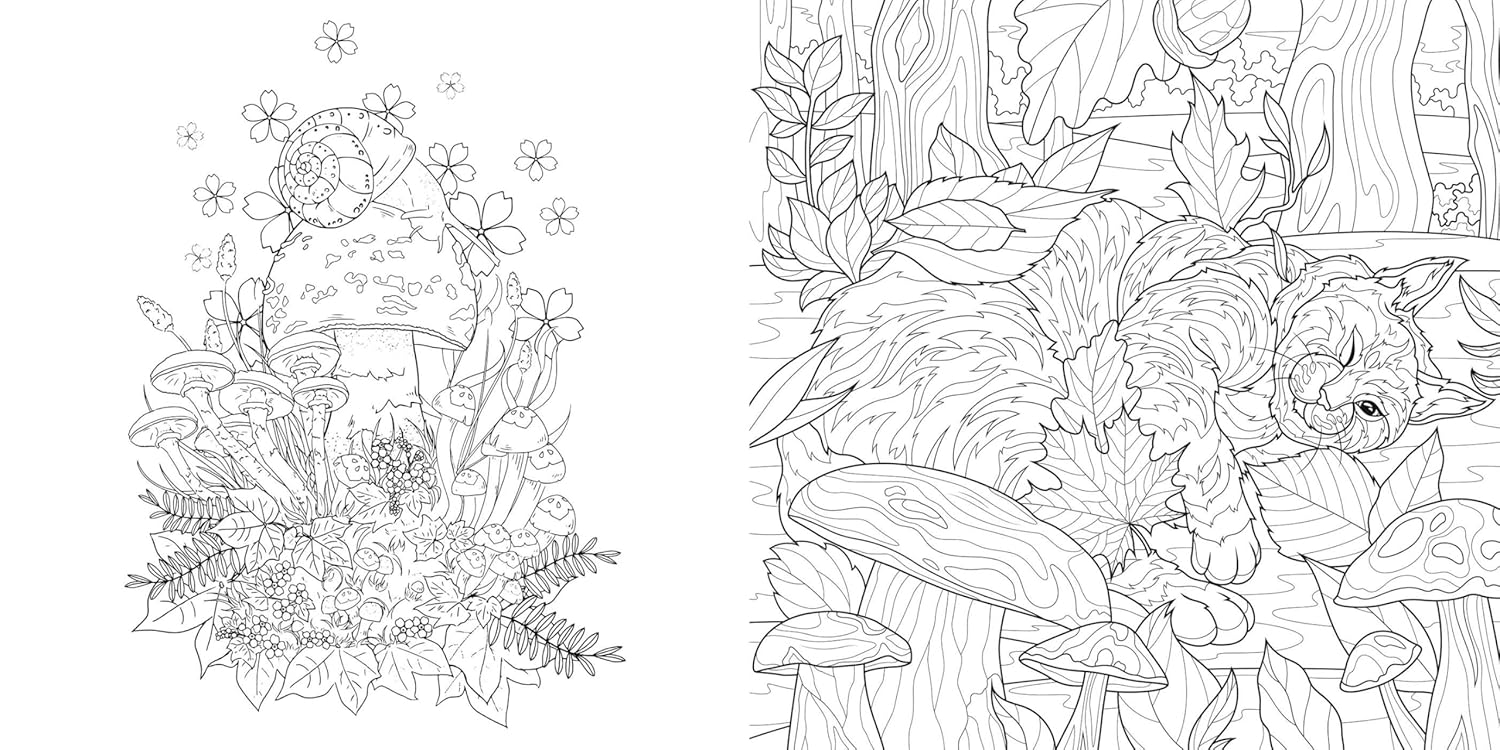 Magic Mushrooms Colouring Book