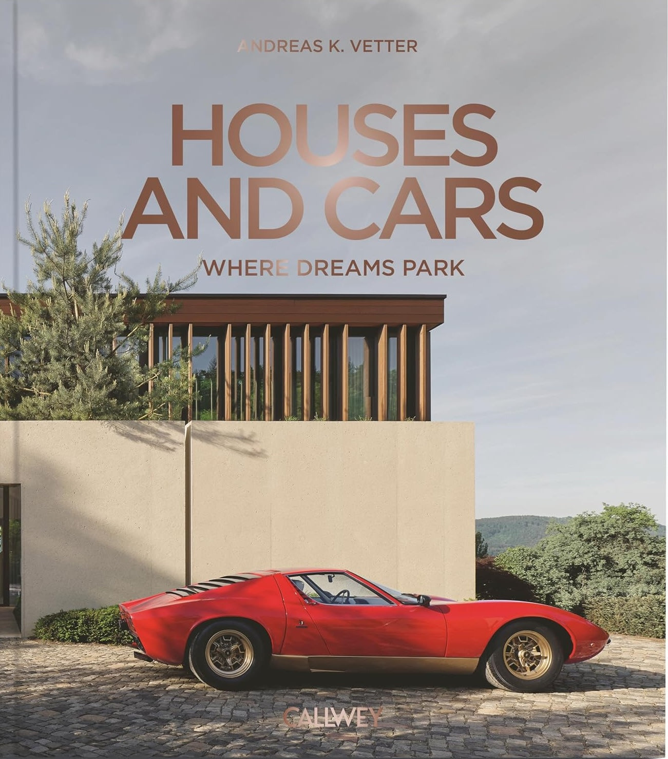 Houses and Cars: Where Dreams are Parking