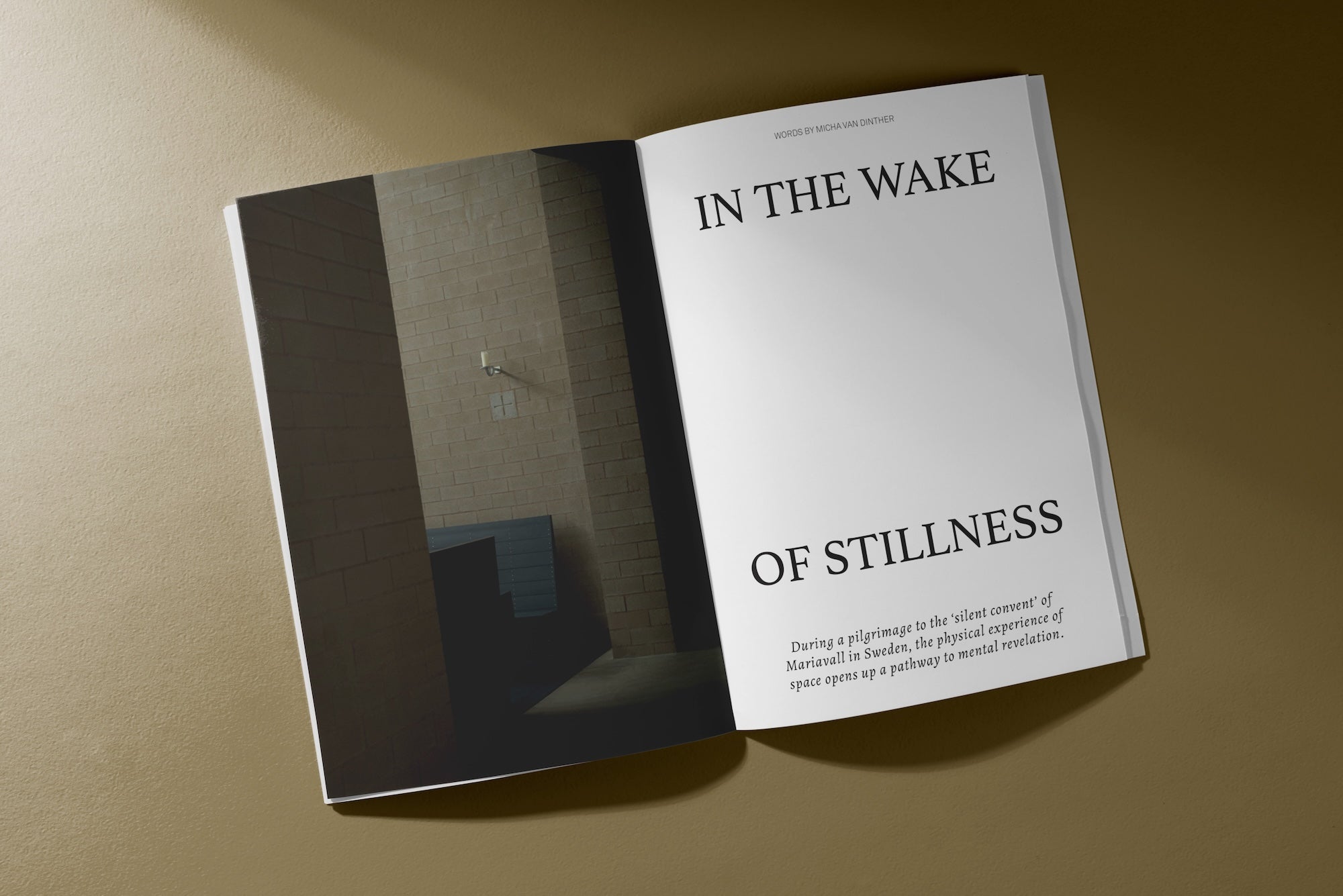 Akt Magazine Issue VI