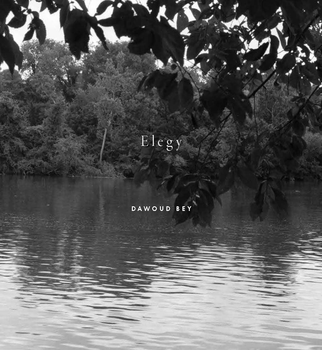 Elegy - Dawoud Bey