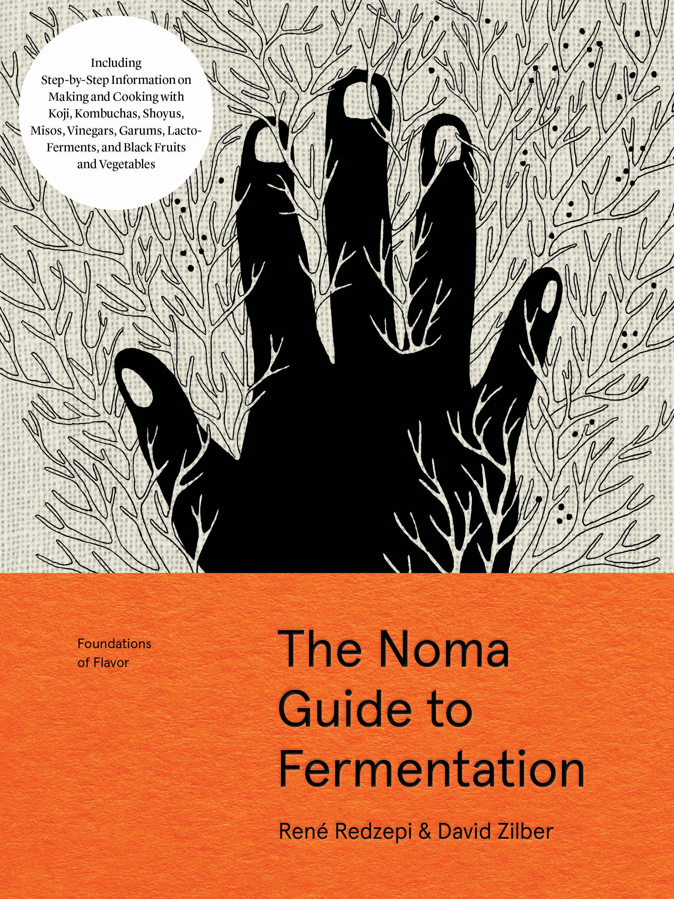 The Noma Guide to Fermantation