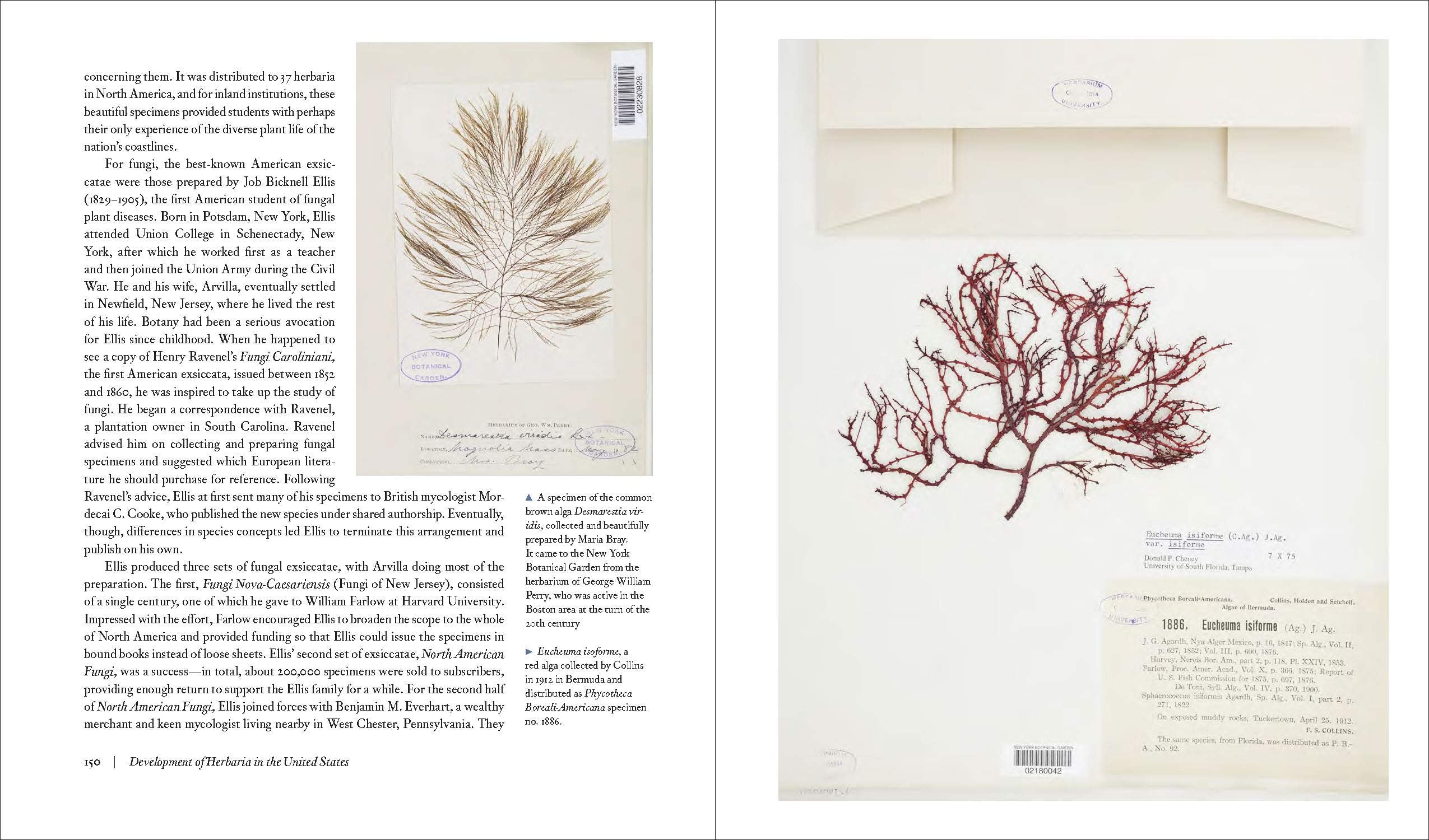 Herbarium - The Quest to Preserve & Classify the World's Plants