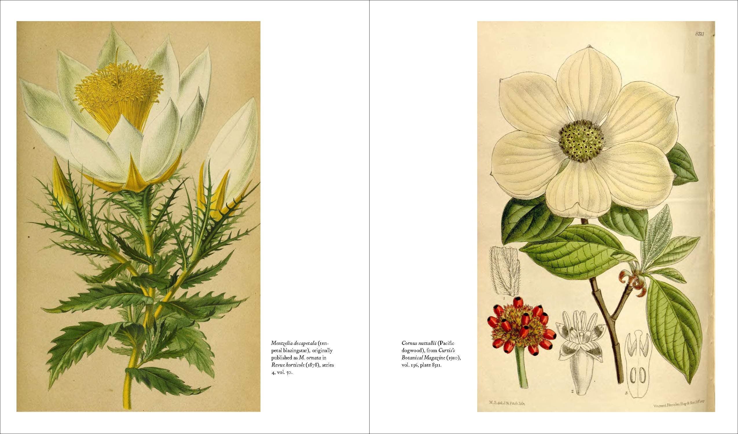 Herbarium - The Quest to Preserve & Classify the World's Plants