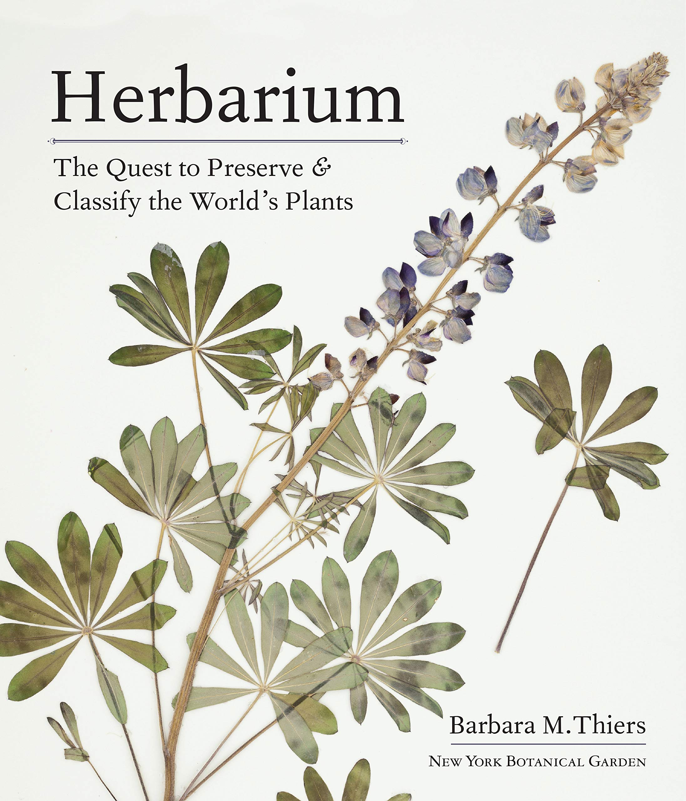 Herbarium - The Quest to Preserve & Classify the World's Plants