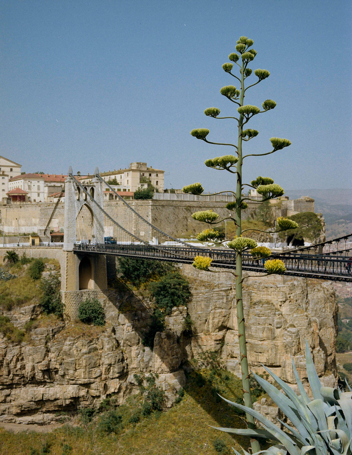 Kinfolk travel main image 0