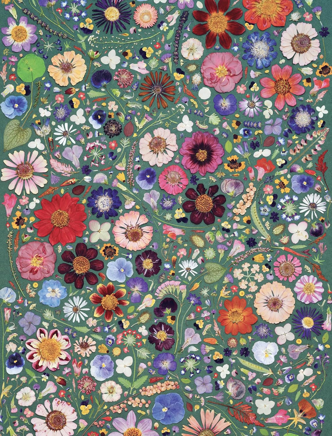 Beautiful Blooms - Wrapping Paper Book