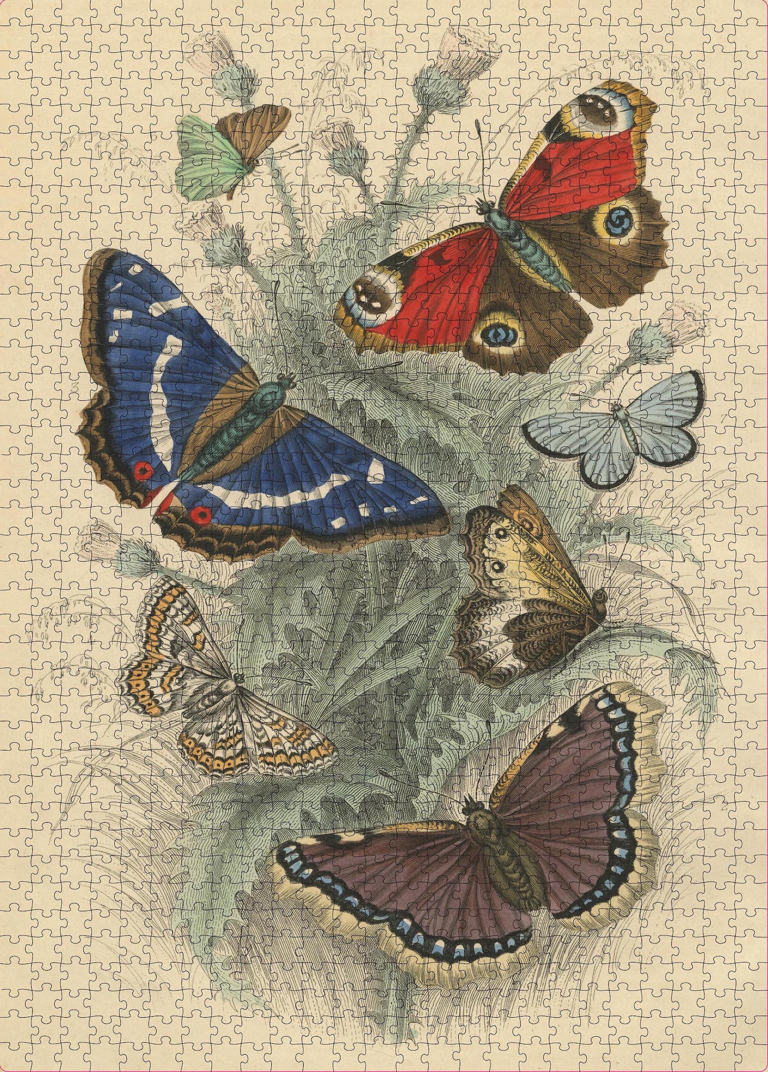 Dancing Butterflies - John Derian