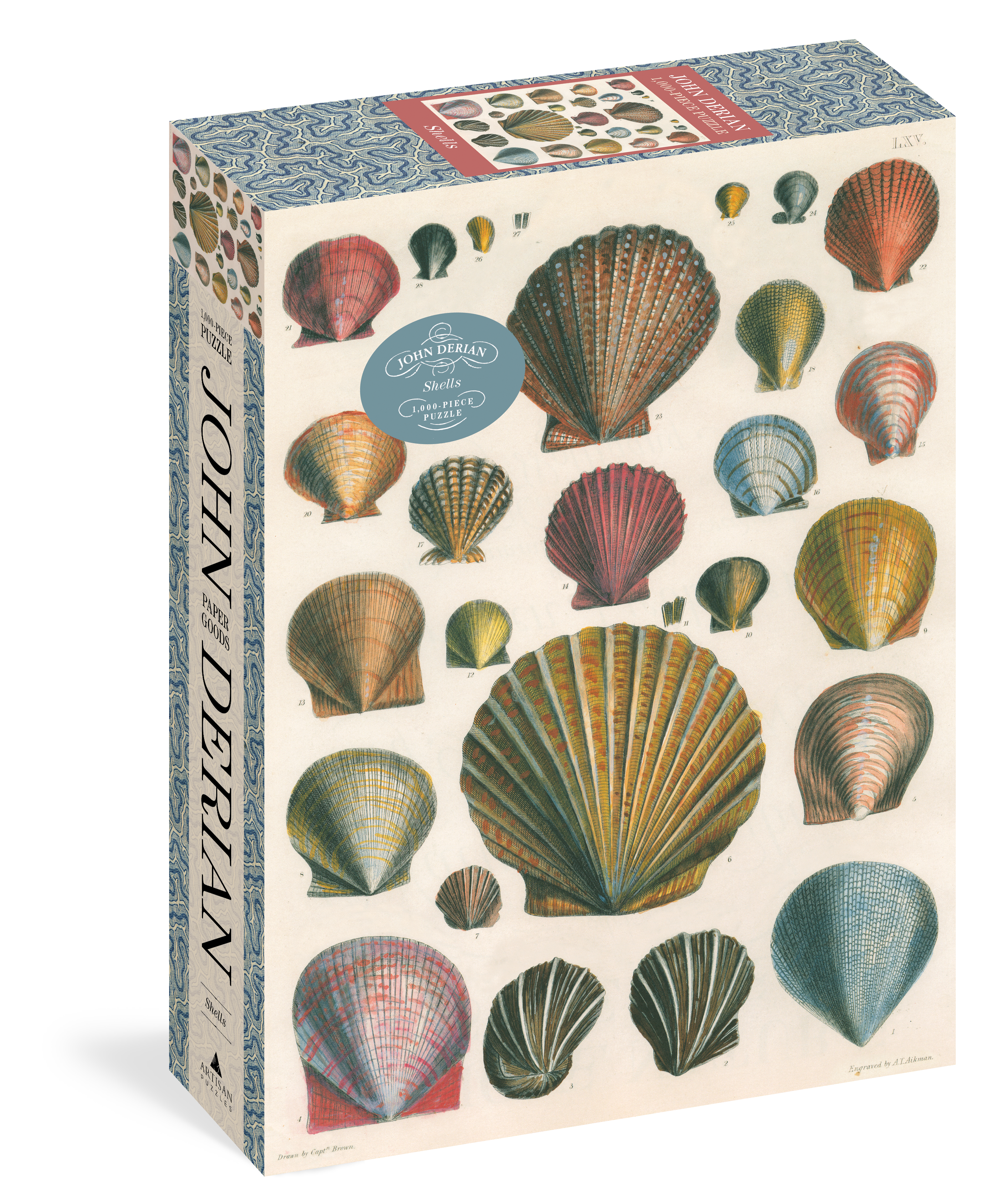 Shells - John Derian - 1000 Piece Puzzle