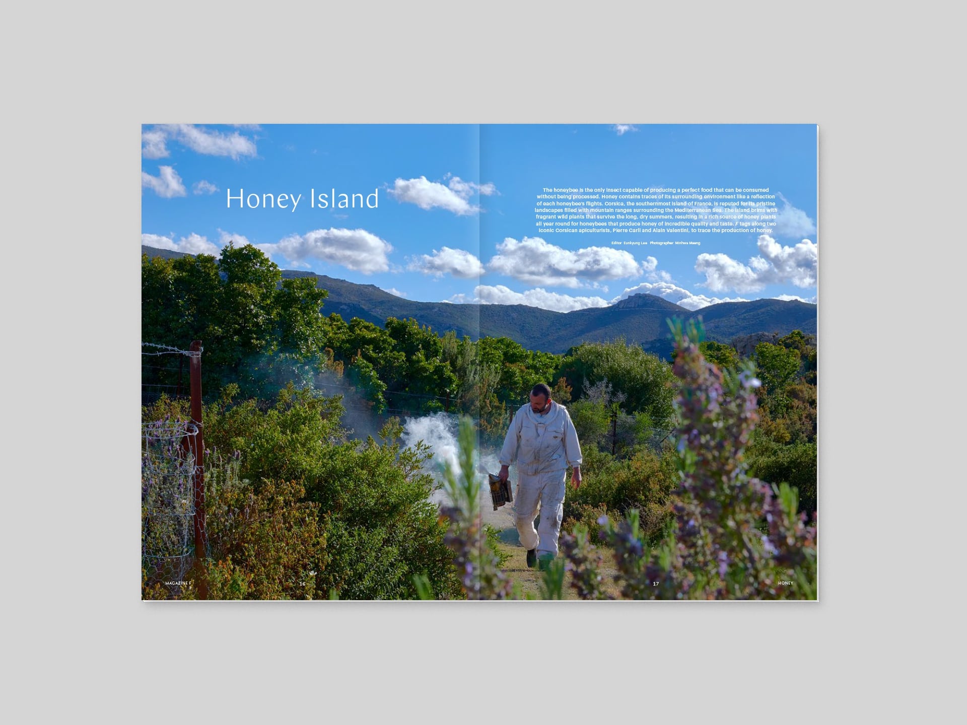 Magazine F Issue 08 HONEY