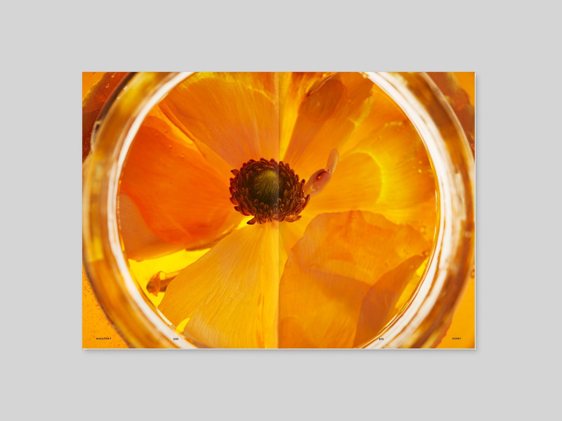 Magazine F Issue 08 HONEY