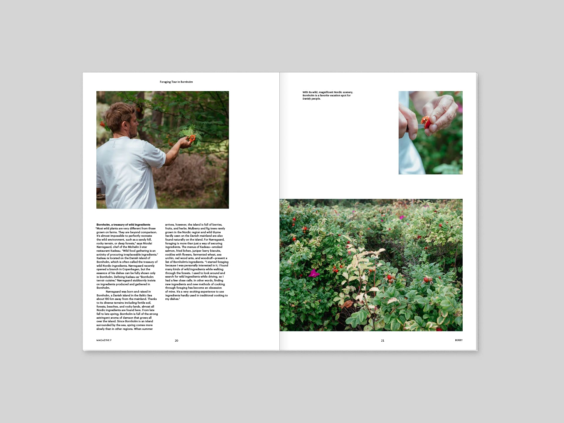 Magazine F Issue 10 BERRY