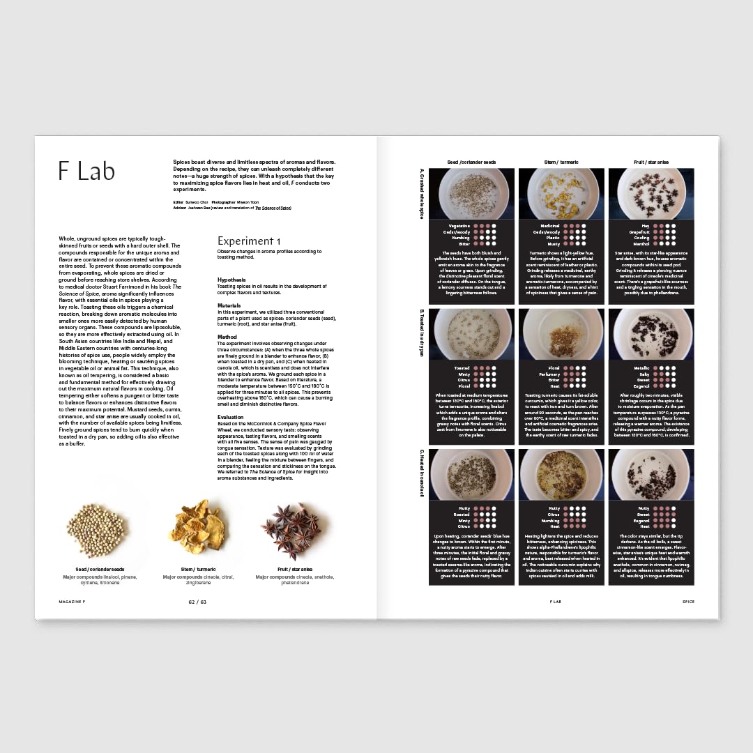 Magazine F Issue 28 SPICE