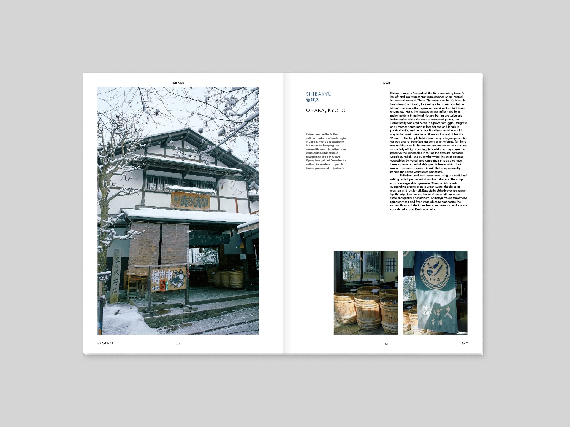 Magazine F Issue#01 SALT