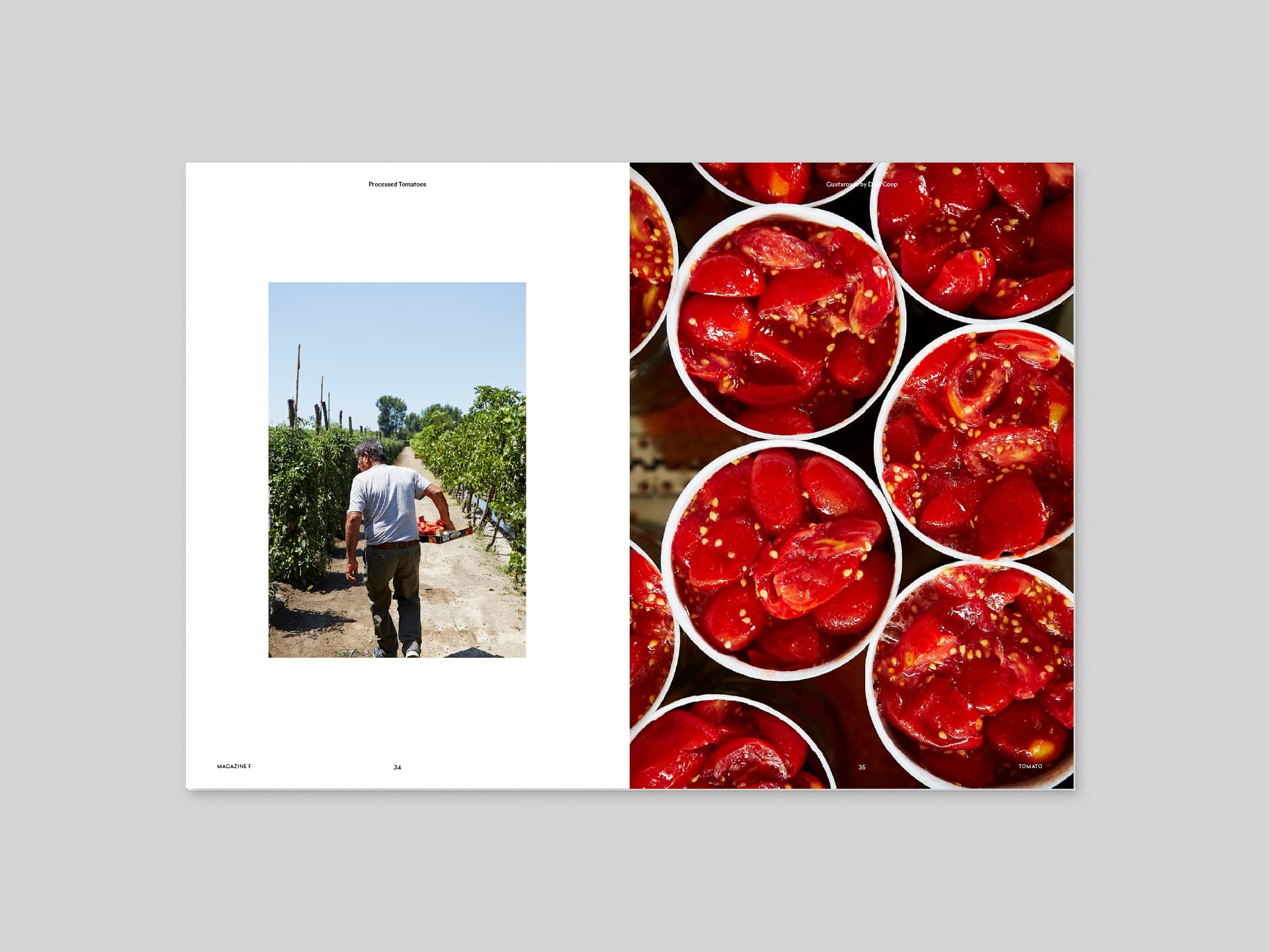 Magazine F Issue#04 TOMATO