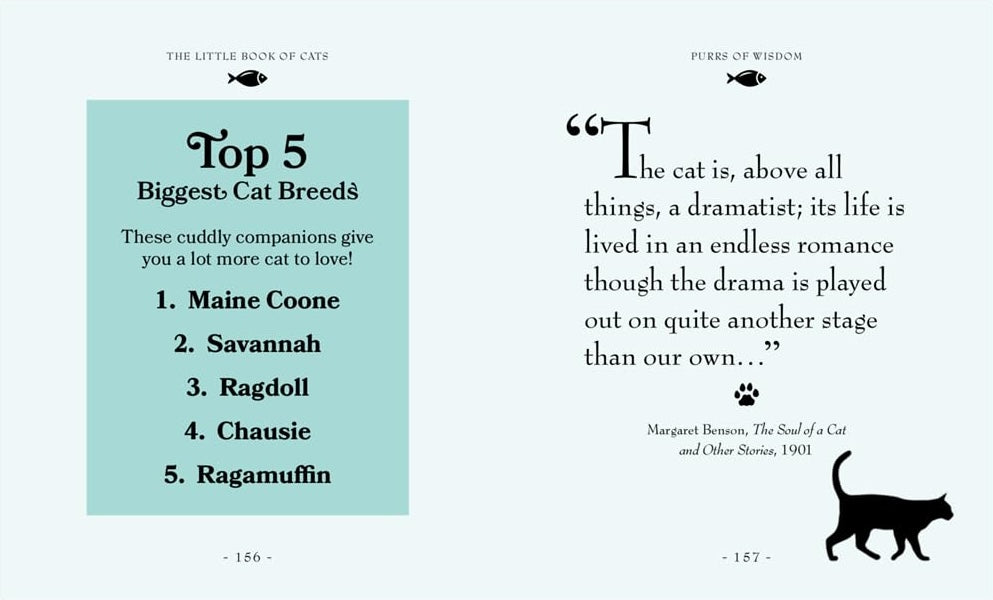 The Little Book of Cats