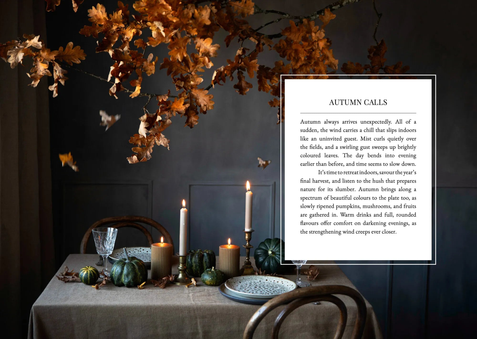 The Art of Fun Dining