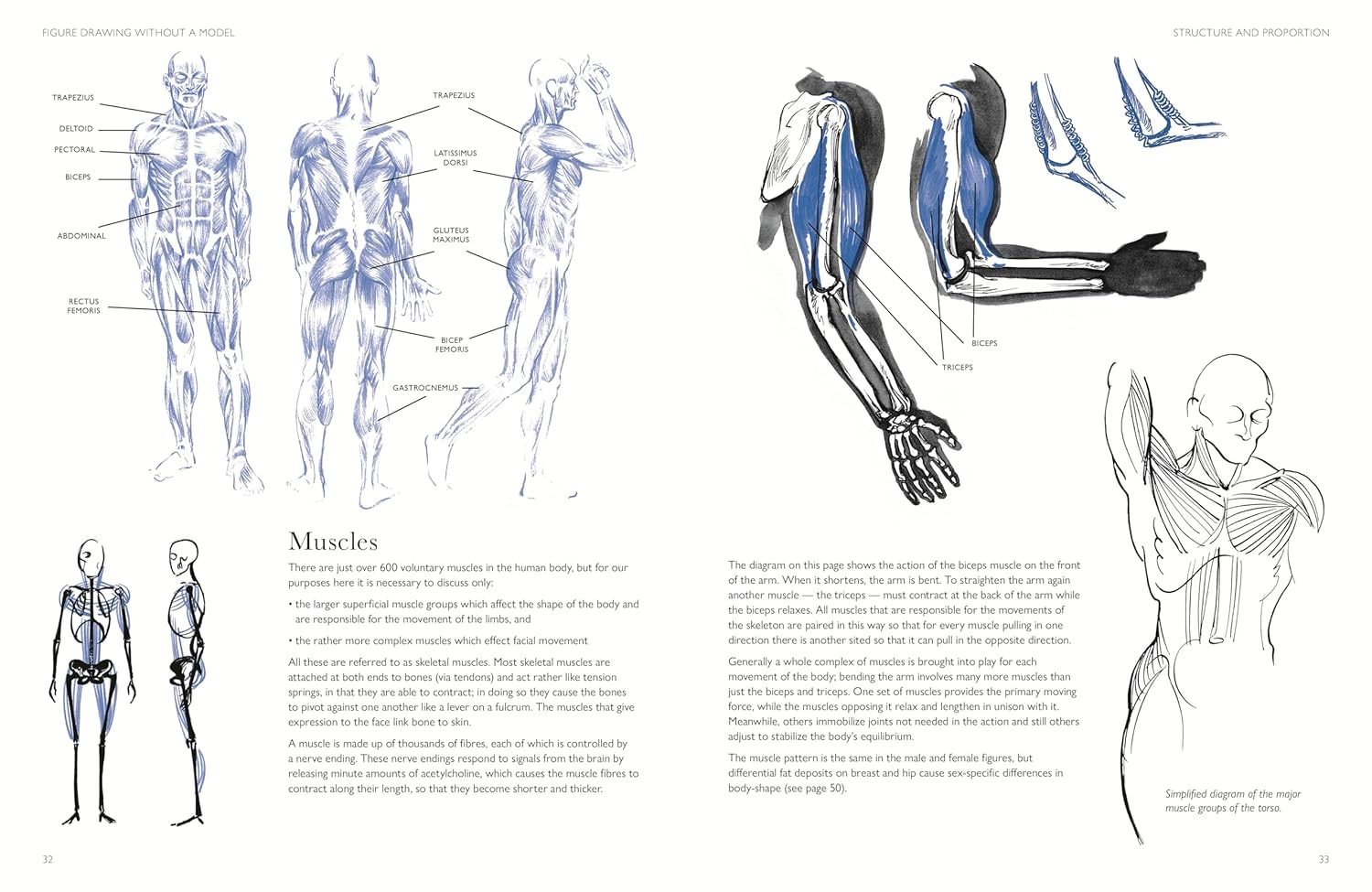 Figure Drawing without a Model