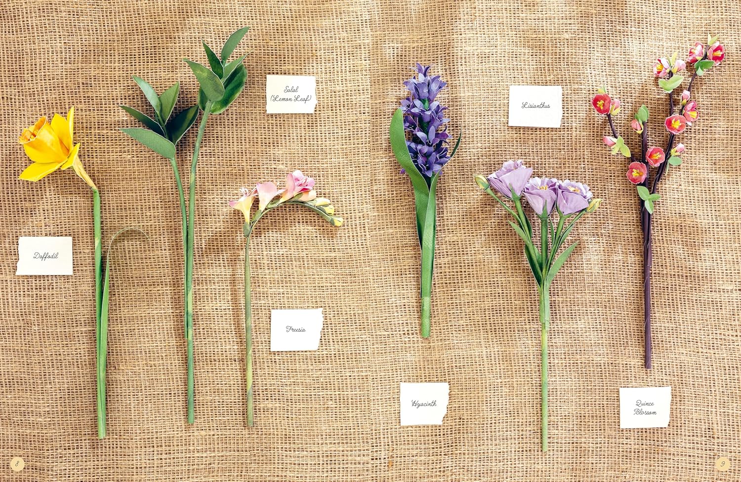 The Bouquet in a Book: Spring