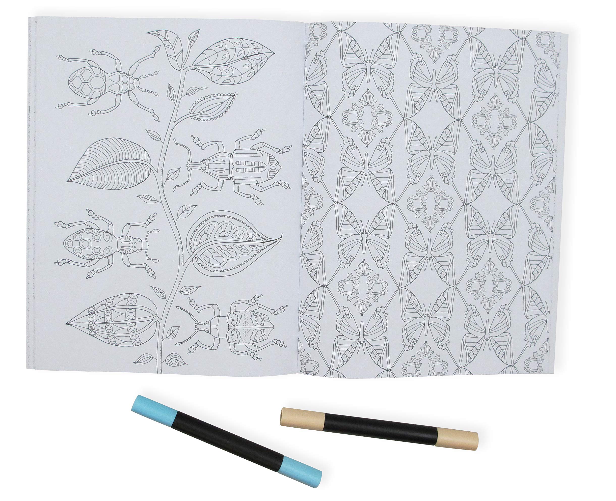 Wonderful Insects Coloring Book