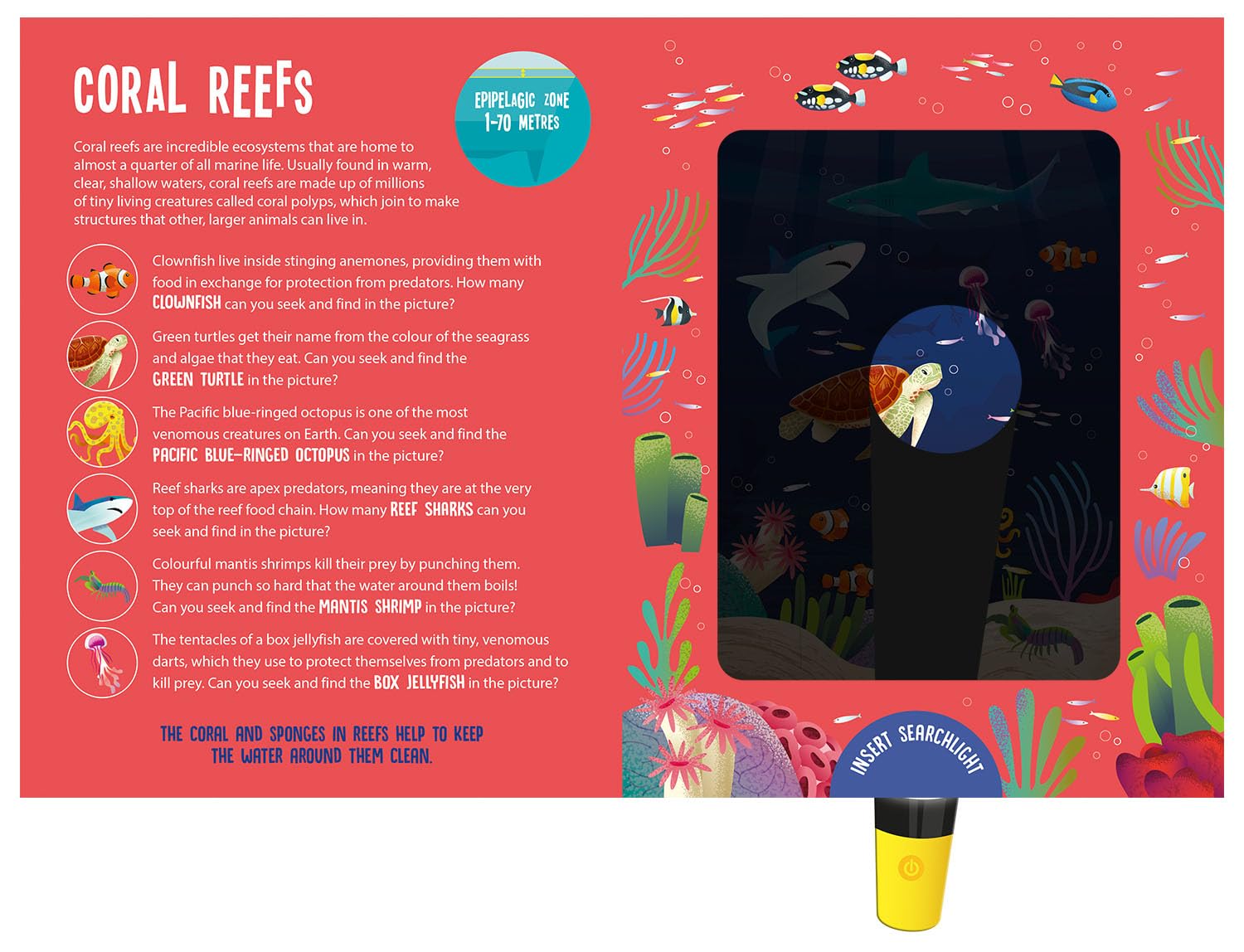 Magic searchlight - Ocean Animals