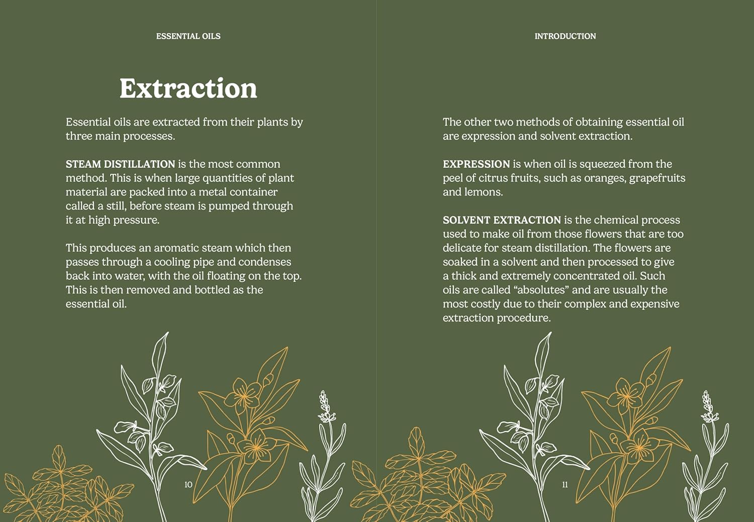 The Pocket Essential Oils