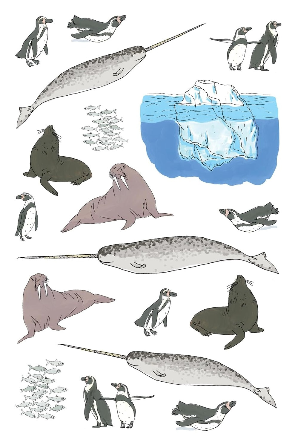 Ocean Anatomy Sticker Book