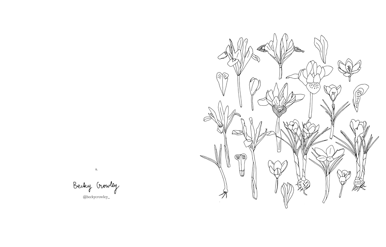 Fleurs Coloriages - Zoé de Las Cases - French