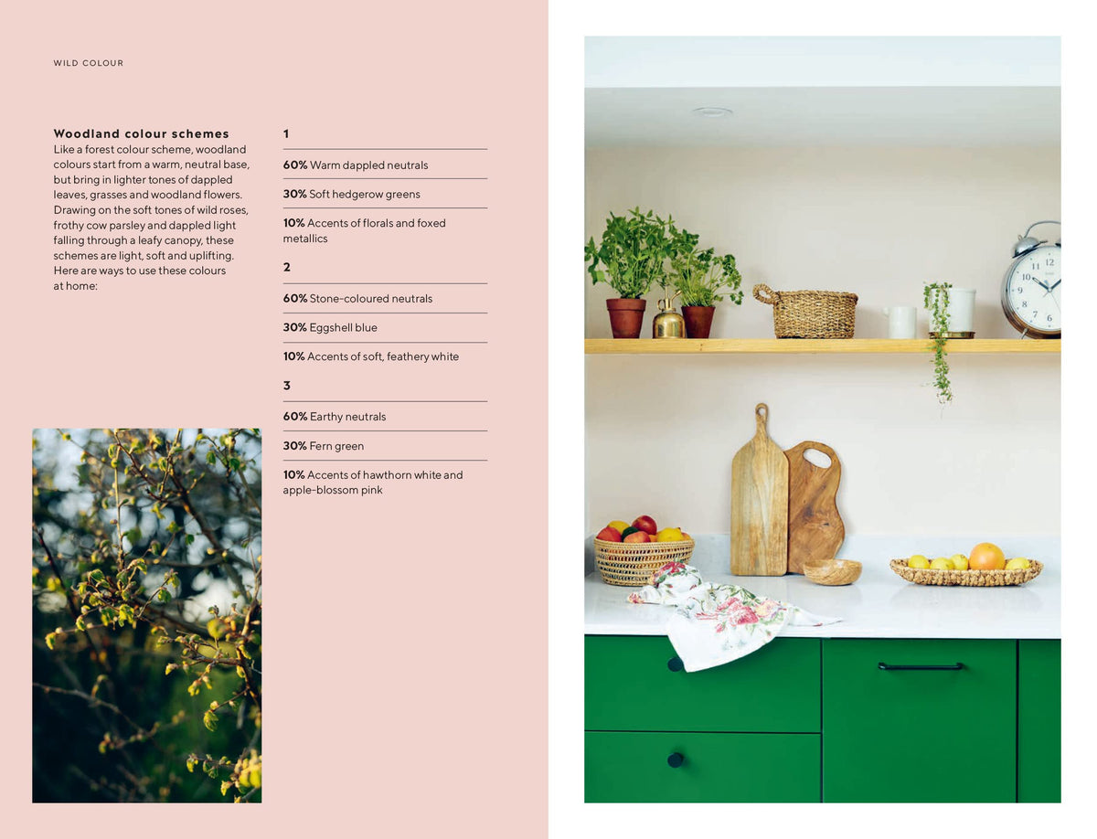 Rewild Your Home