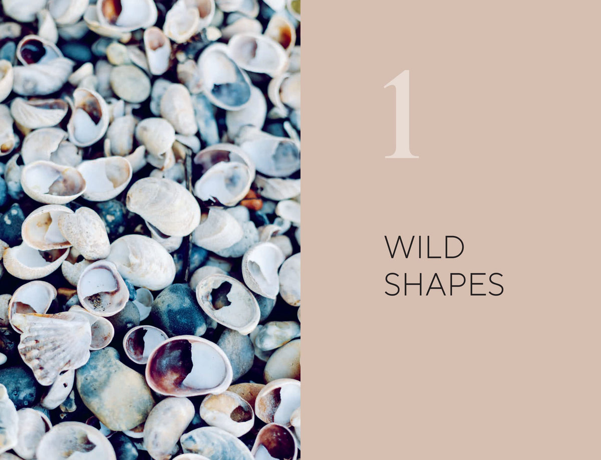 Rewild Your Home