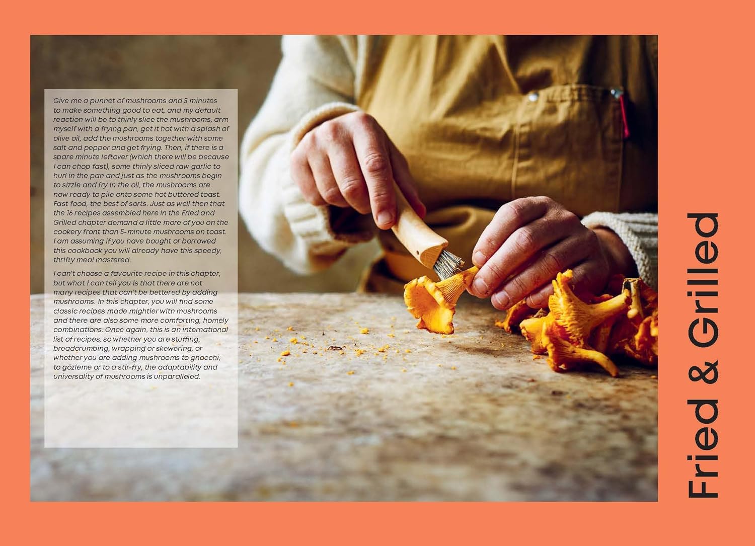 Mushroom - 80 Recipes