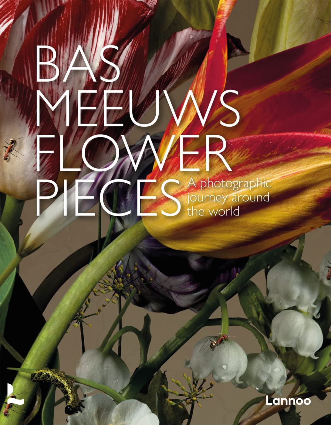 Flwer Bas Flower Pieces - Bas Meeuws