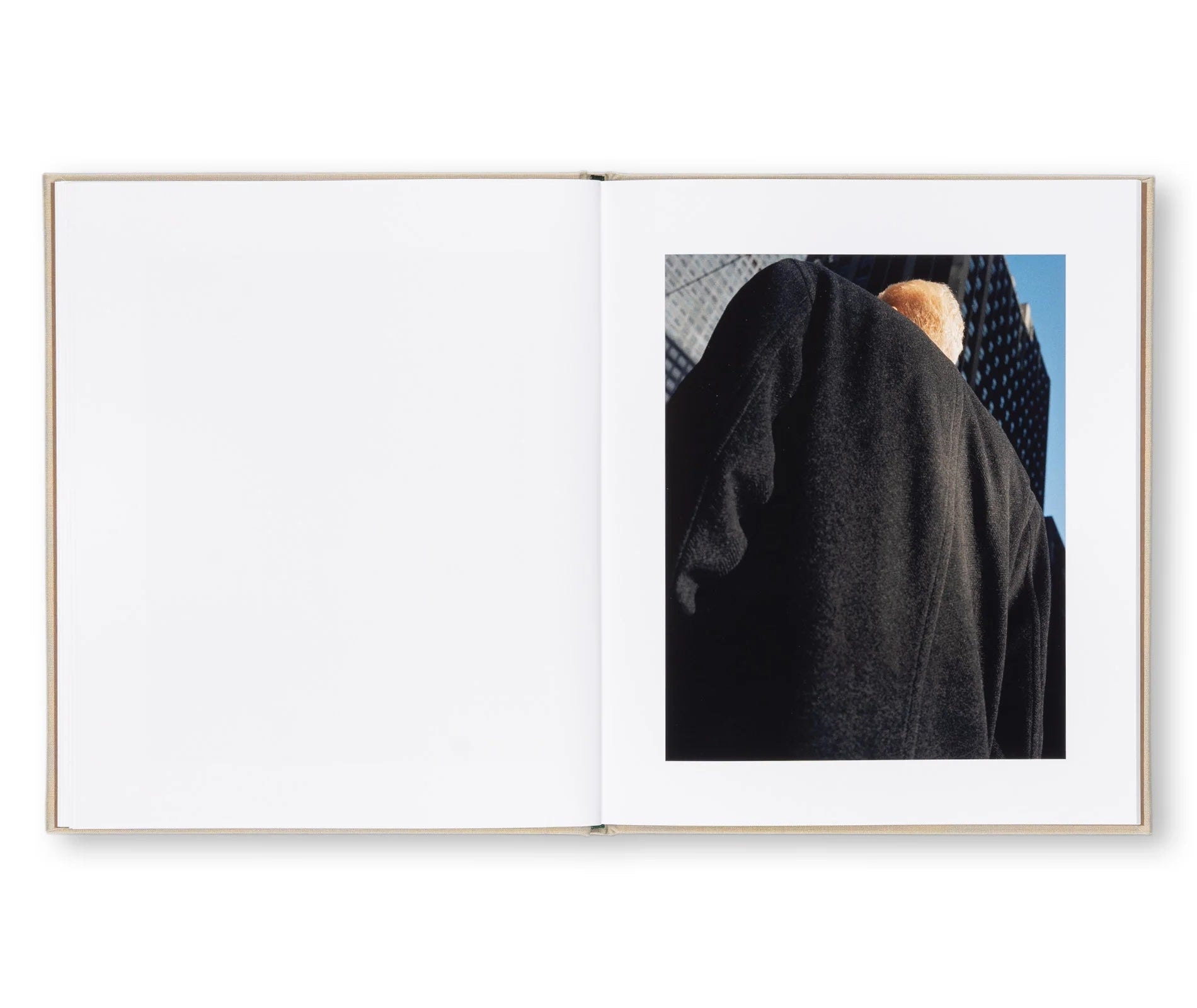 Executive Model - Ron Jude