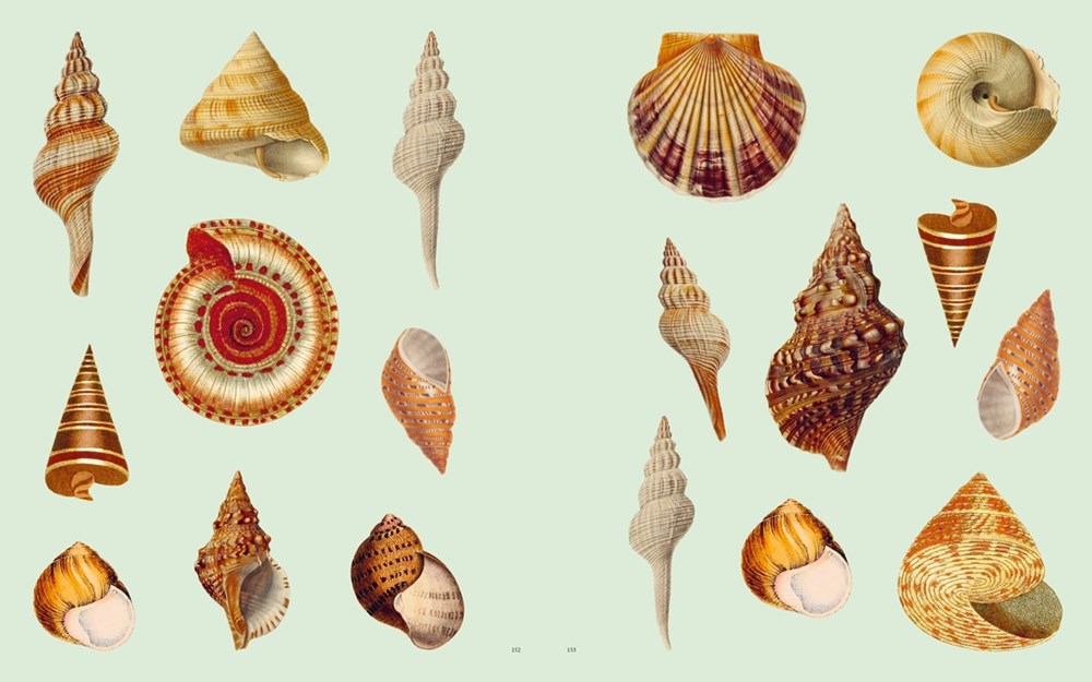 Extraordinary Things Sticker Book