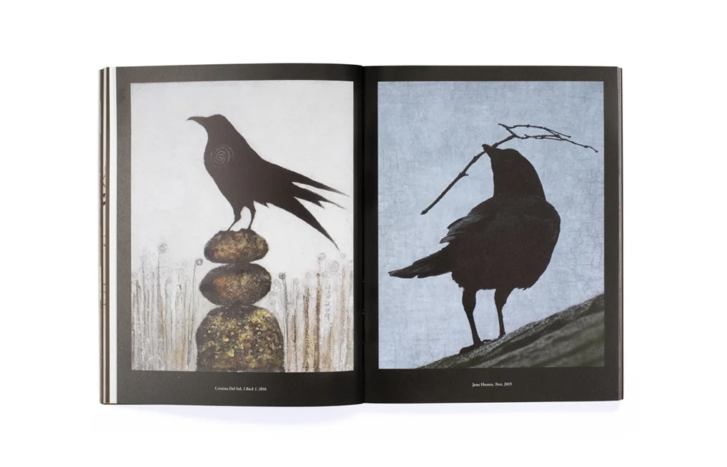 The Book of the Raven