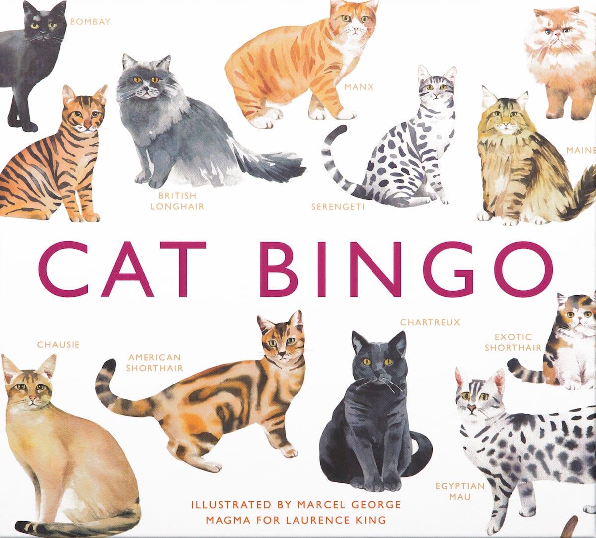 Cat Bingo