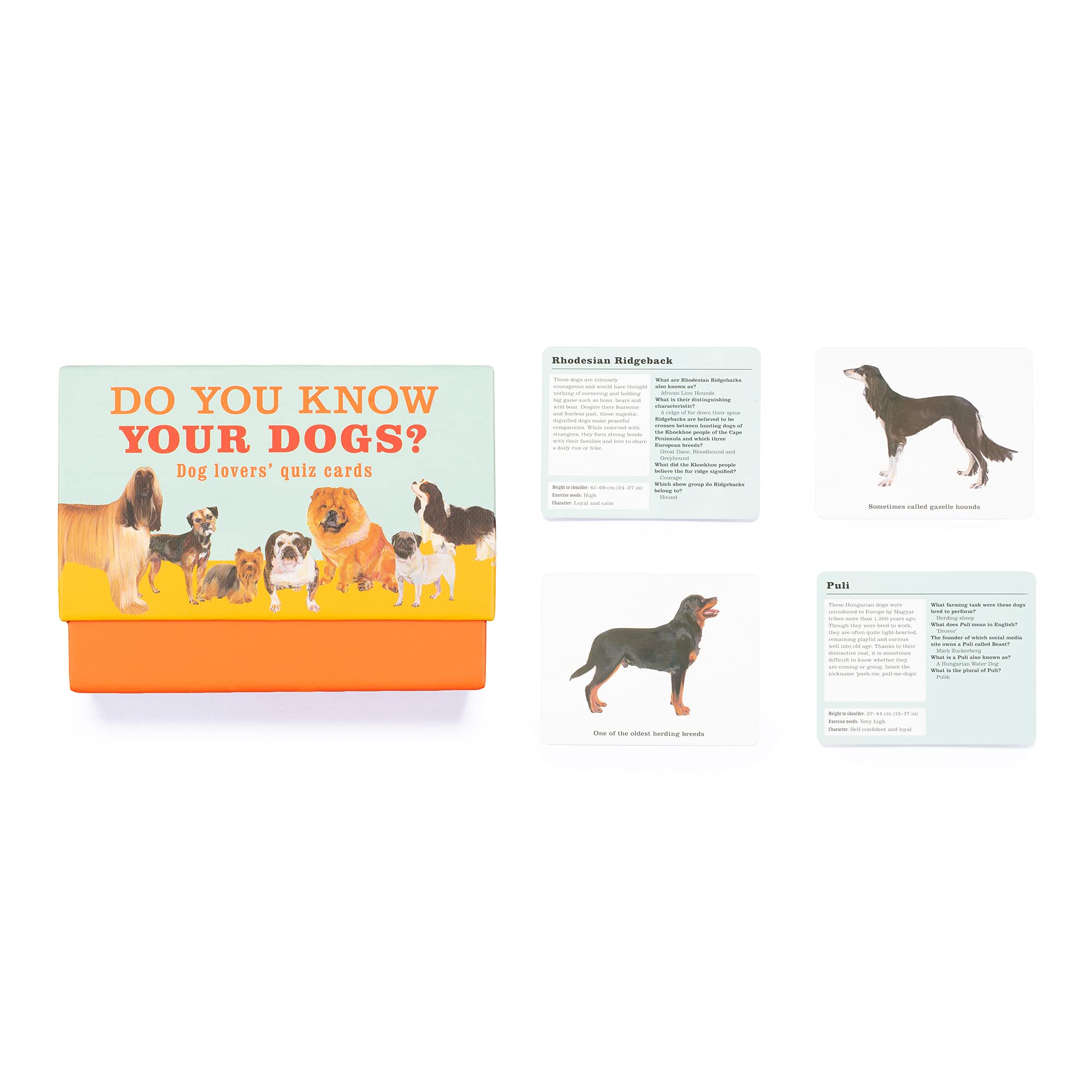 Do You Know Your Dogs?