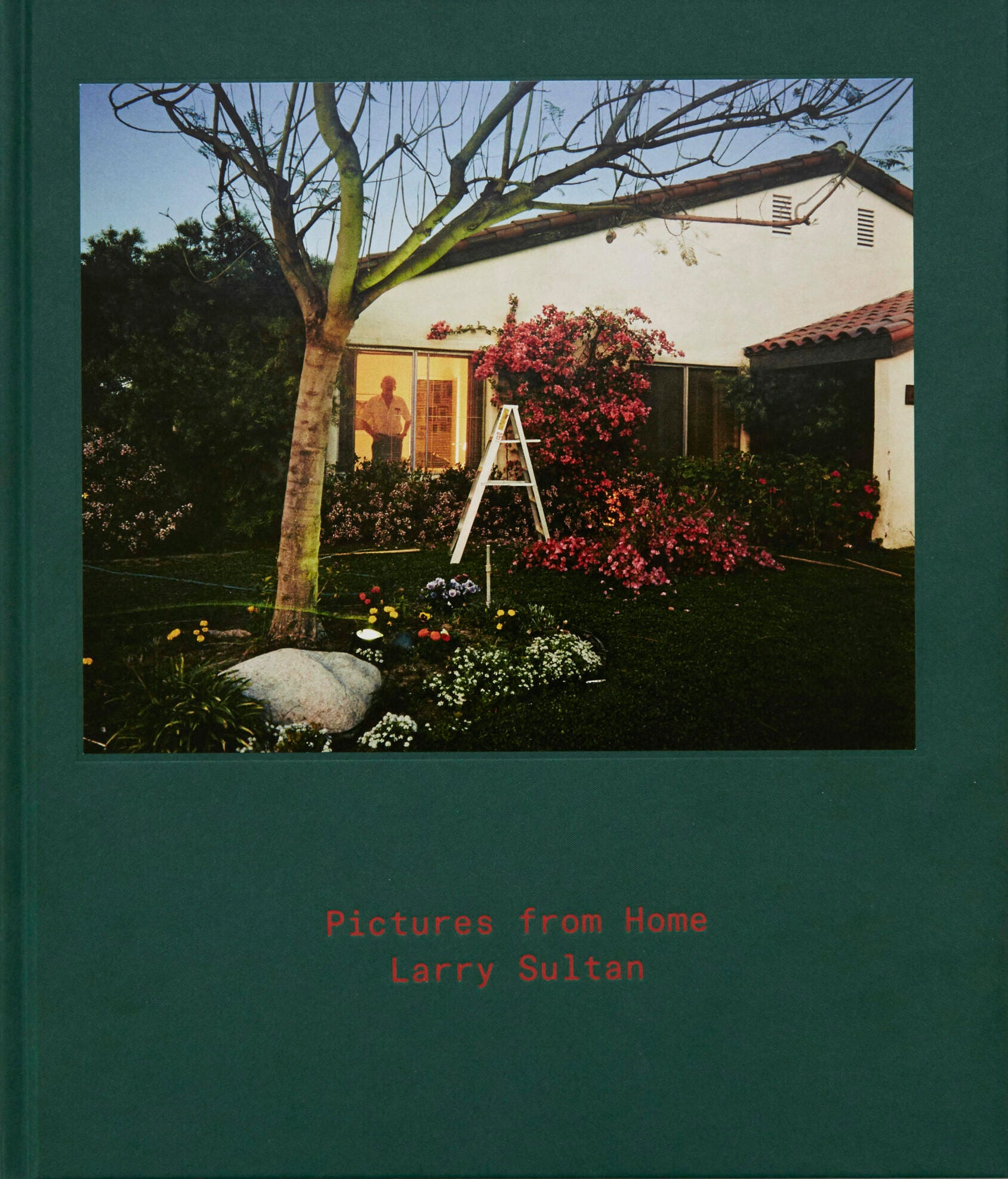 Pictures from Home. Larry Sultan