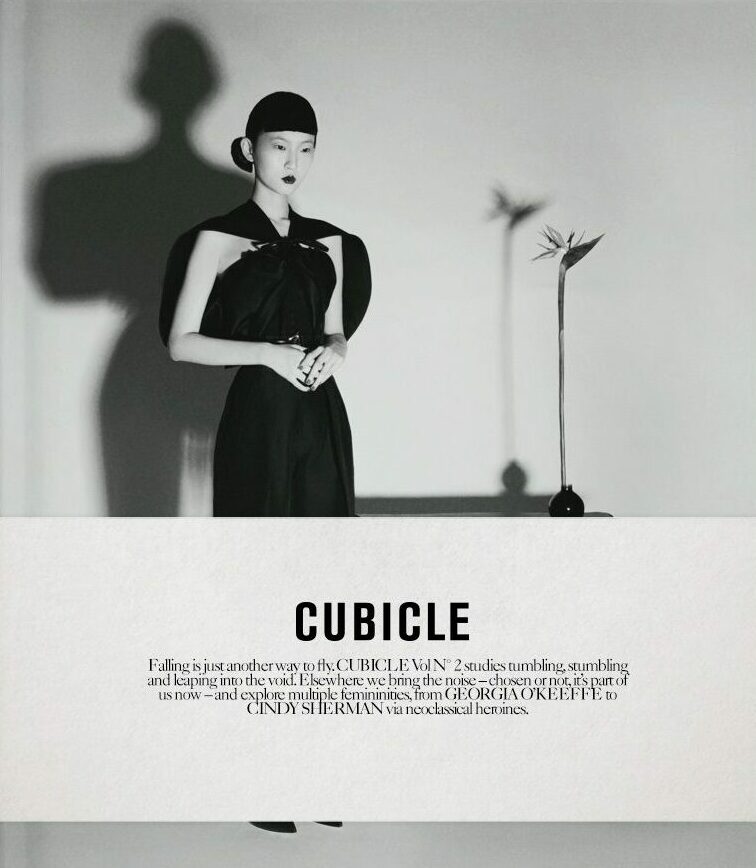 Cubicle Volume No. 2