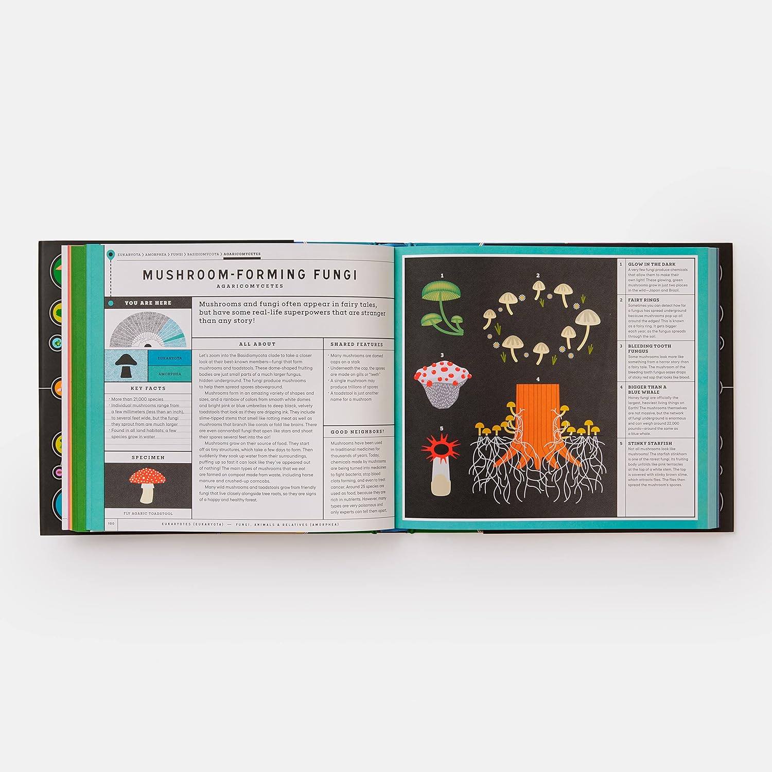 Full of Life - Exploring Earth's Biodiversity