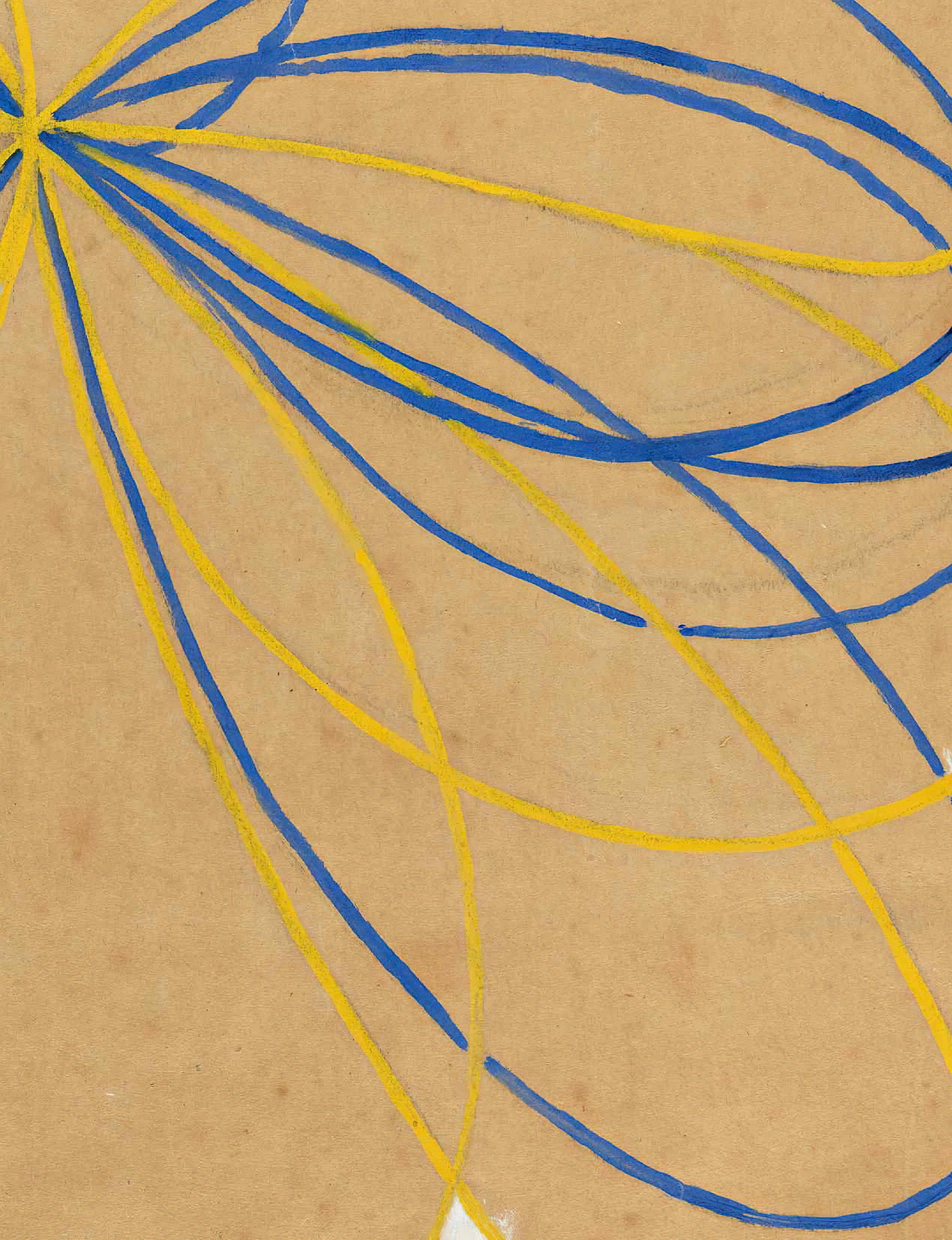 Hilma af Klint Large Notebook Set