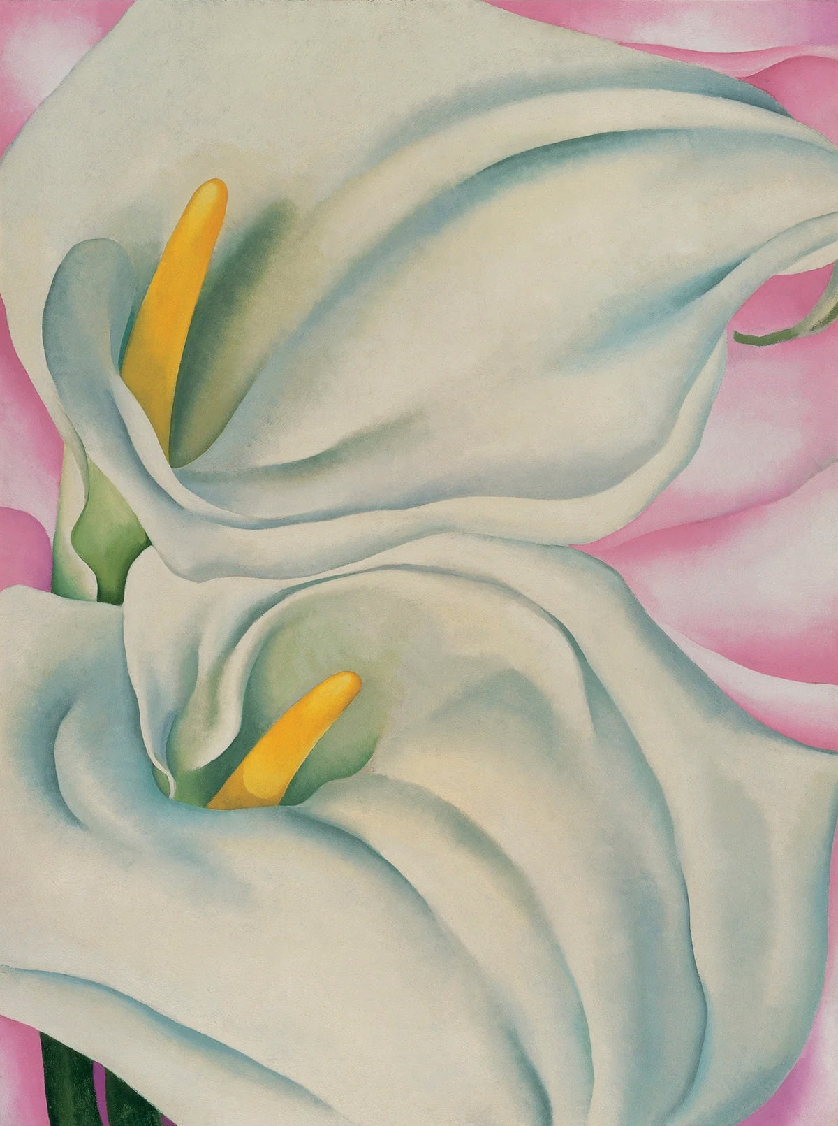 Georgia O'Keeffe: Two Calla Lilies on Pink Small Boxed Cards