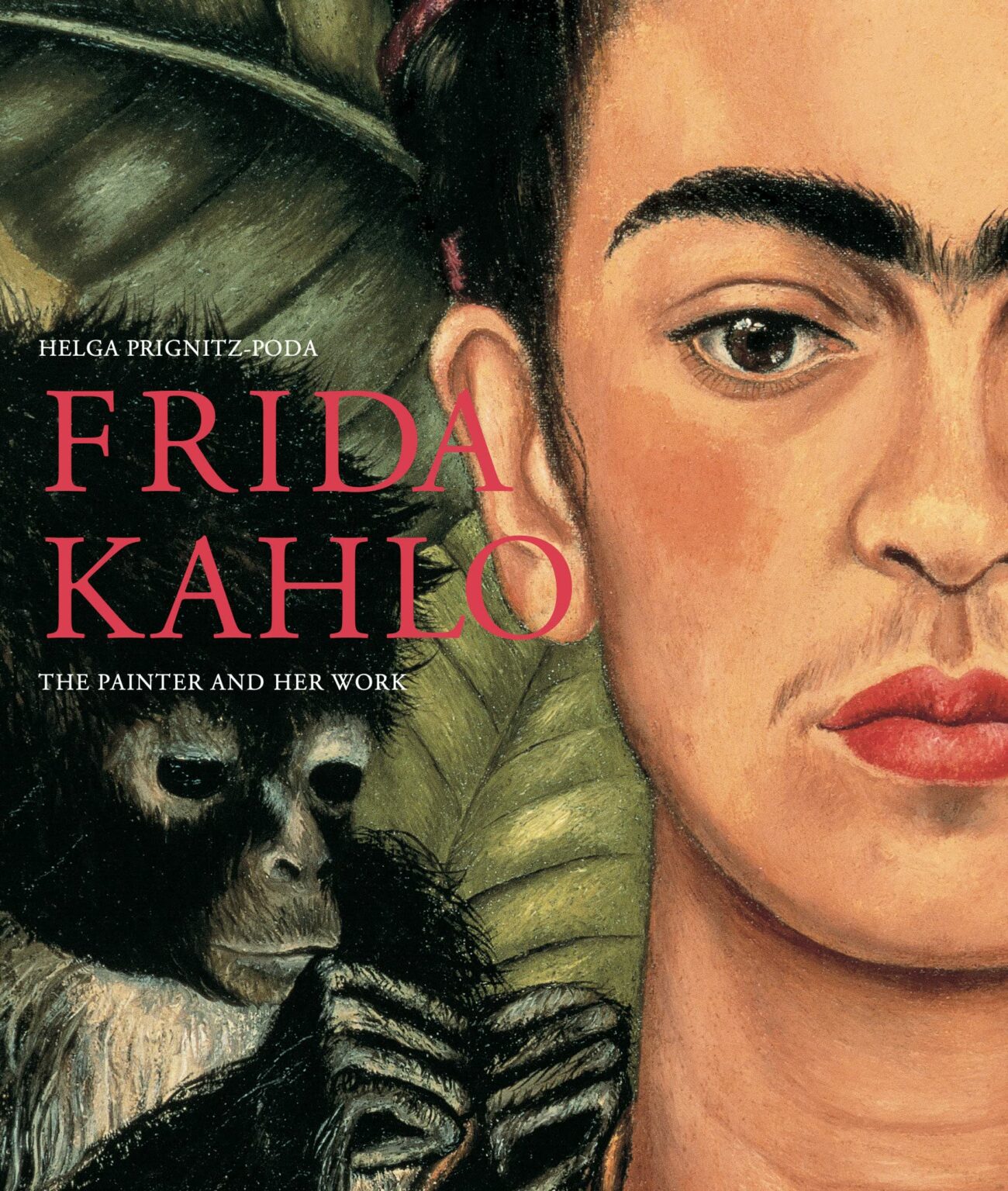 Frida Kahlo - The Painter and her Work