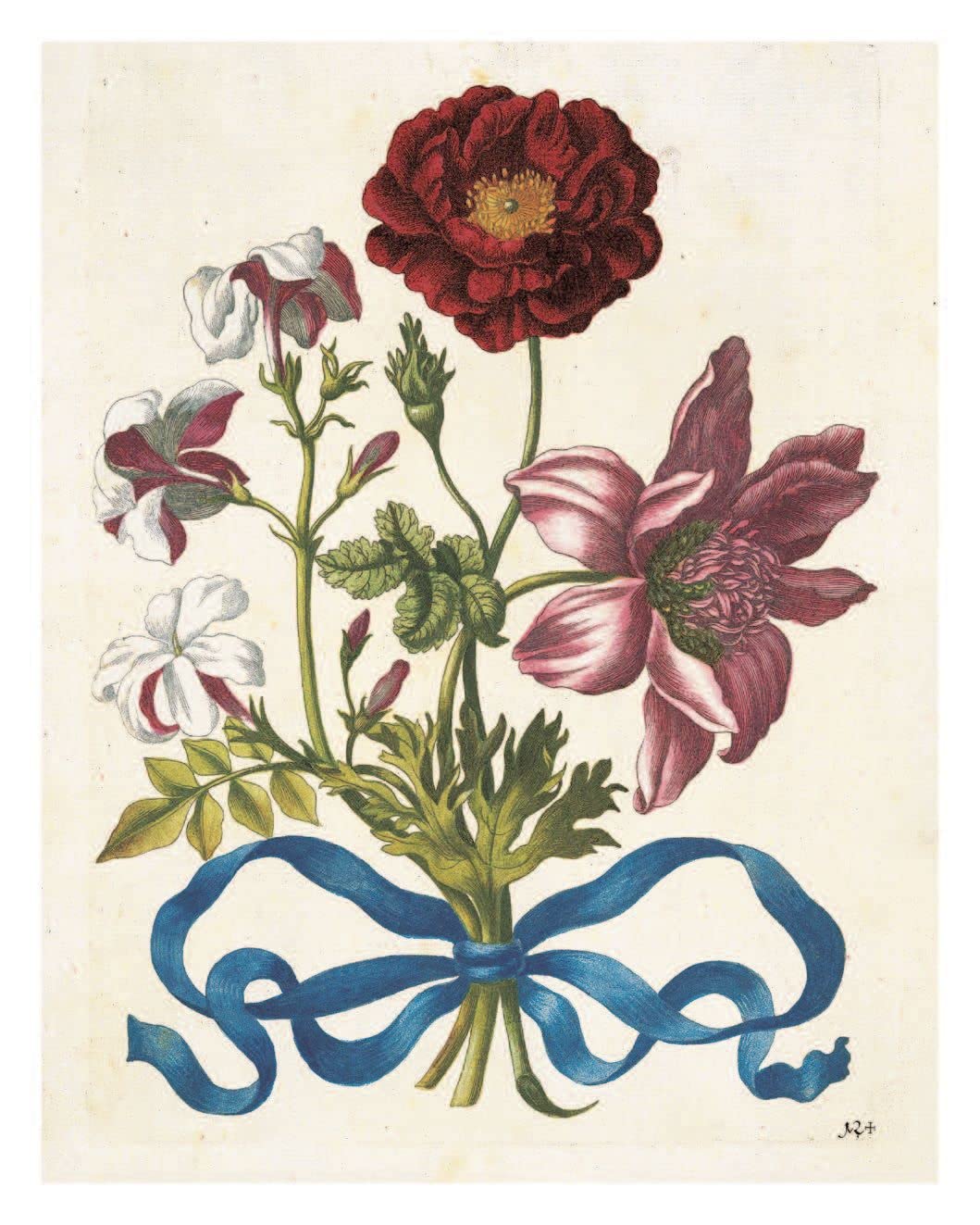 The New Book of Flowers - Maria Sibylla Merian