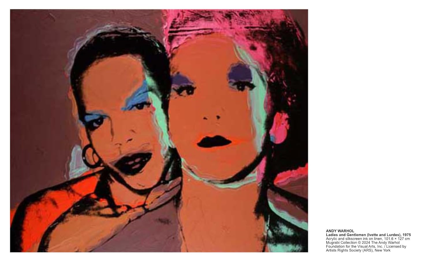 Andy Warhol - Velvet Rage and Beauty