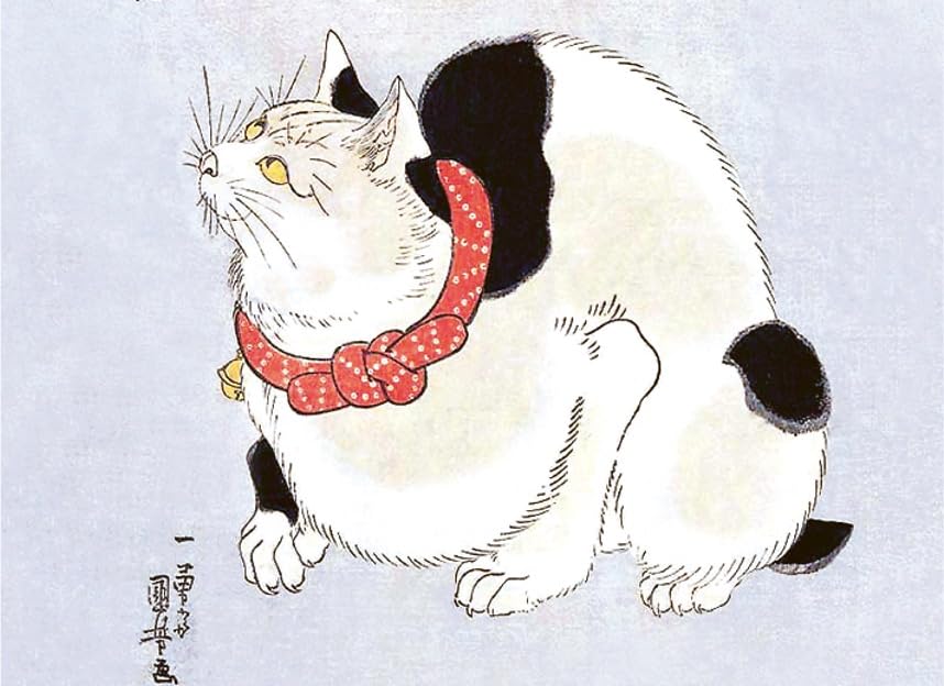 Cats of Japan