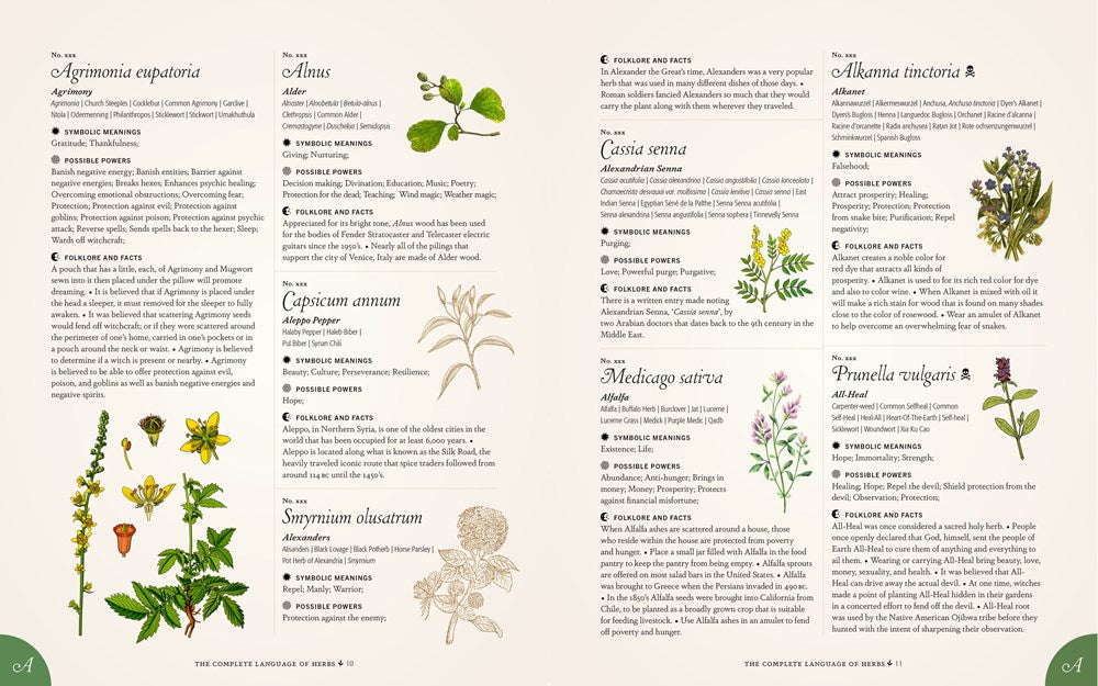 The Complete Language of Herbs