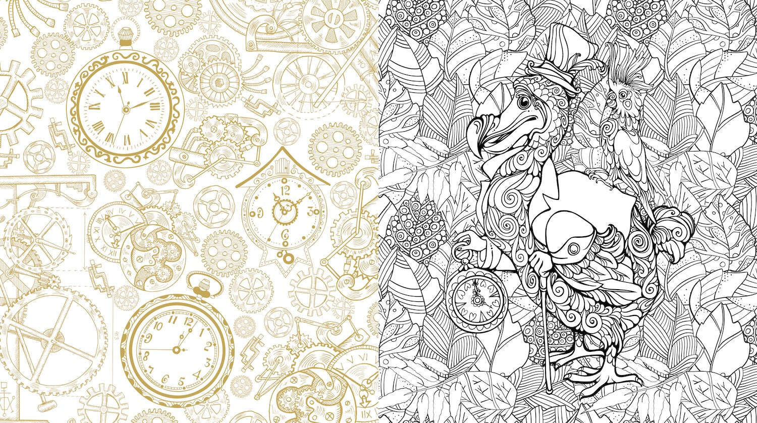 Oddities & Curiosities Coloring Book: A Coloring Journey Through the Weird and the Wonderful