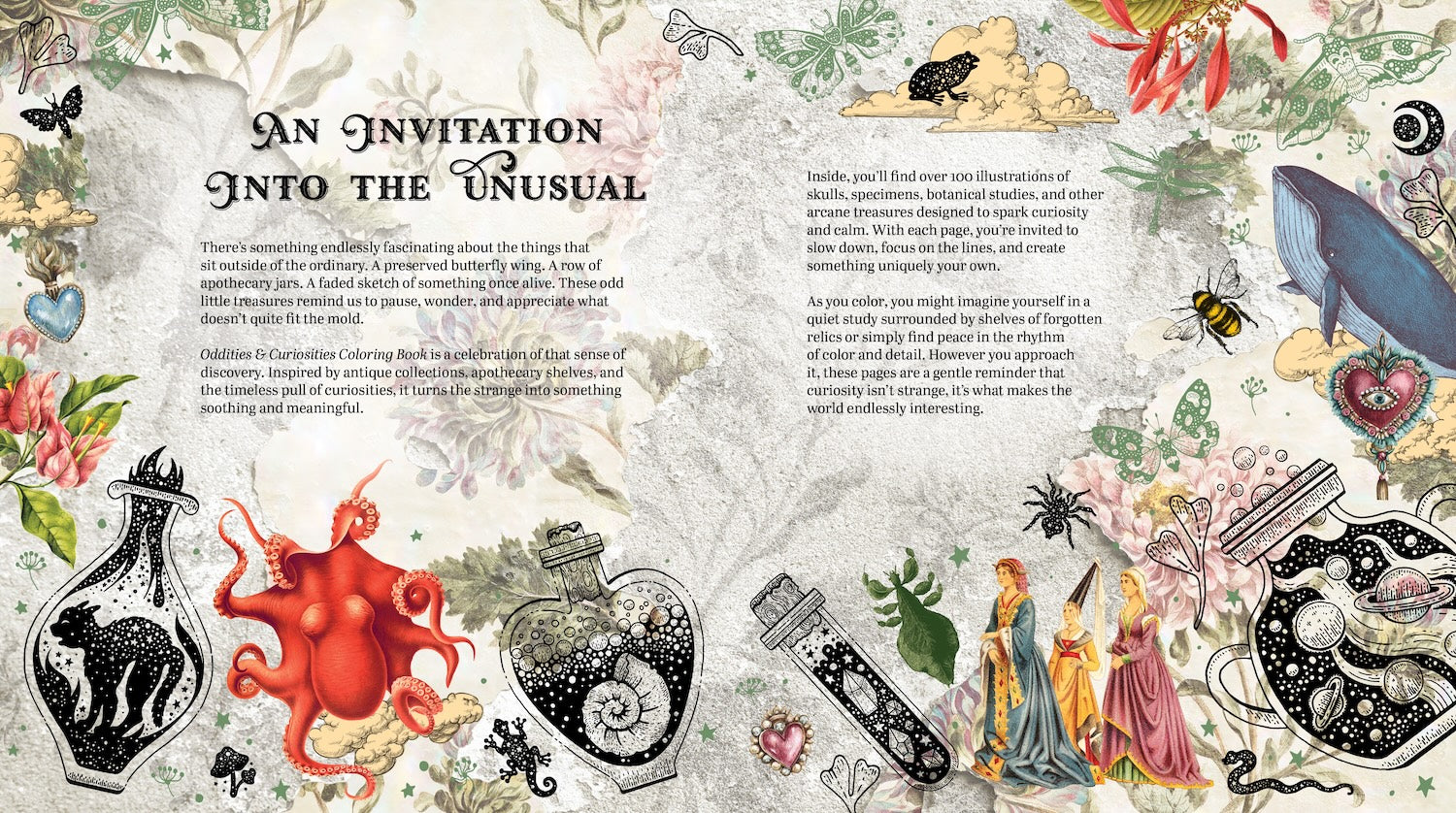 Oddities & Curiosities Coloring Book: A Coloring Journey Through the Weird and the Wonderful