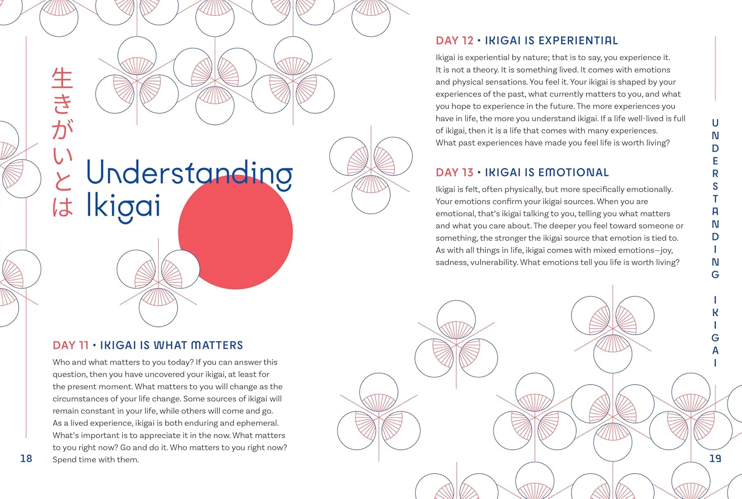 A Year of Ikigai