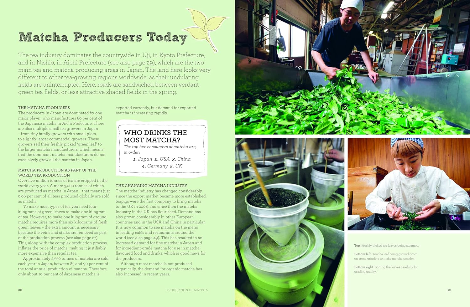 The Book of Matcha